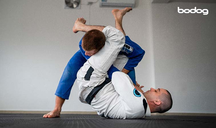 ¿Cuántos tipos de jiu-jitsu existen?