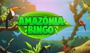 amazonia jogar Video Bingo online