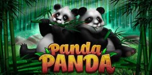 panda panda slot