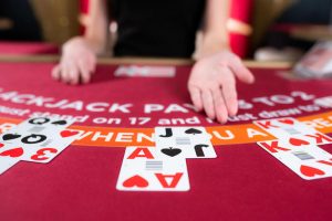 blackjack casino vivo