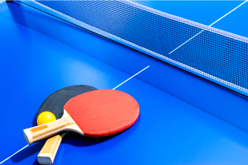 Legenda do jogo tênis de mesa ping pong hobby esporte interesse citação