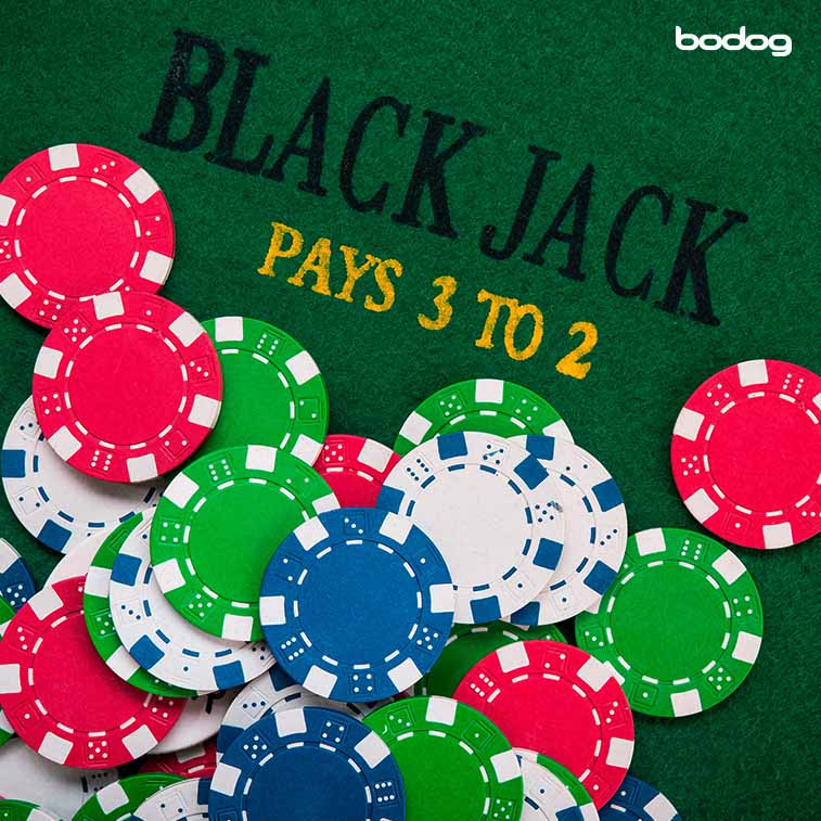 Conheça os jogos de Blackjack da Bodog