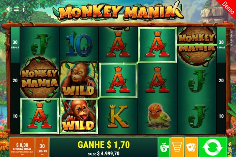 macacos boa sorte