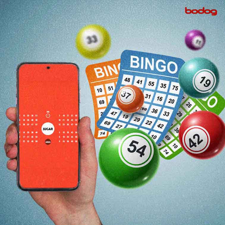 Diversión asegurada de la mano del video bingo online