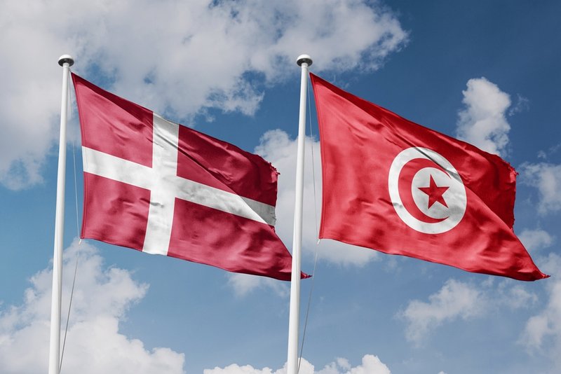 jugar dinamarca tunez mundial grupod