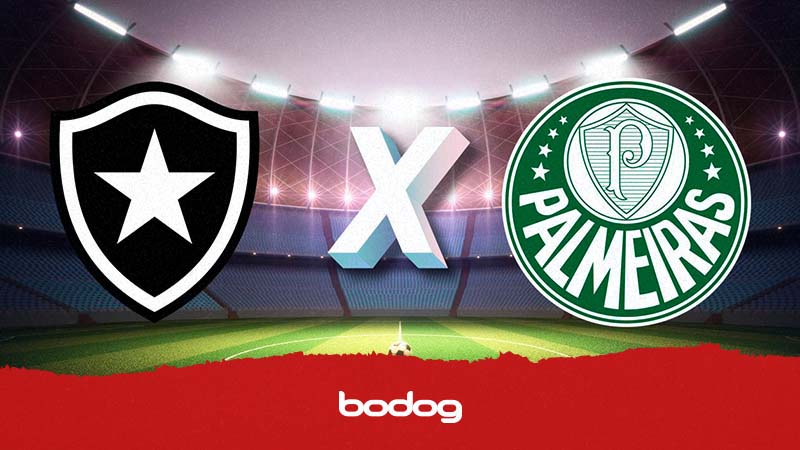 Botafogo x Palmeiras: informações, estatísticas e curiosidades – Palmeiras