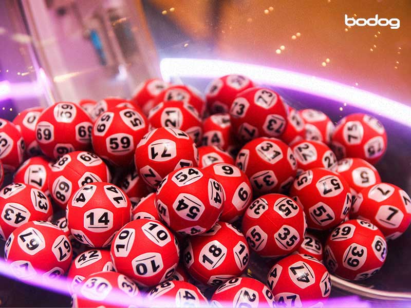 bingo online bolas