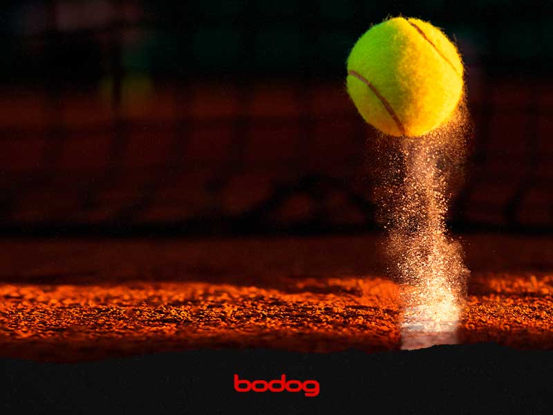 WTA elege os melhores torneios da temporada - Tenis News