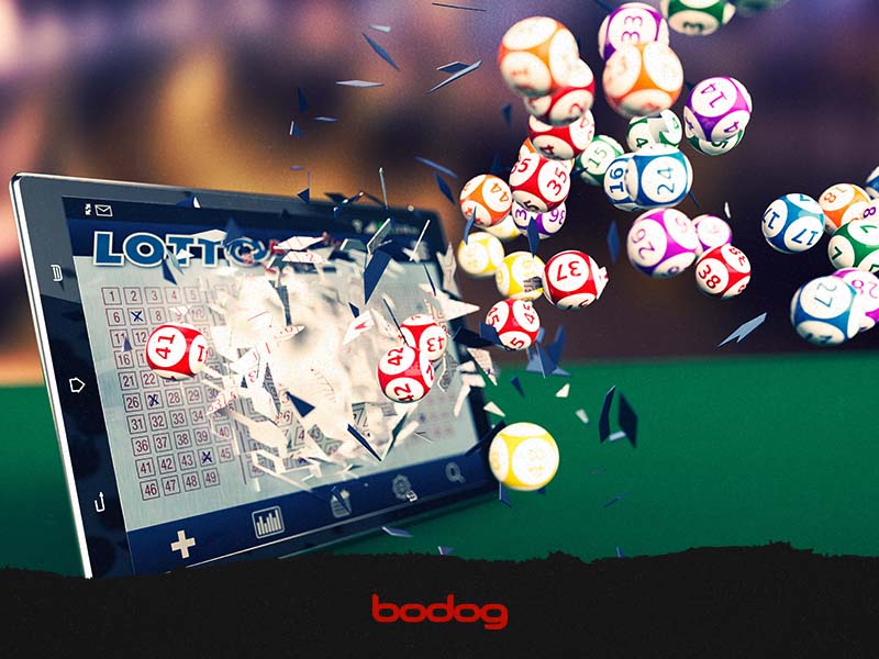 bingo-online-casino