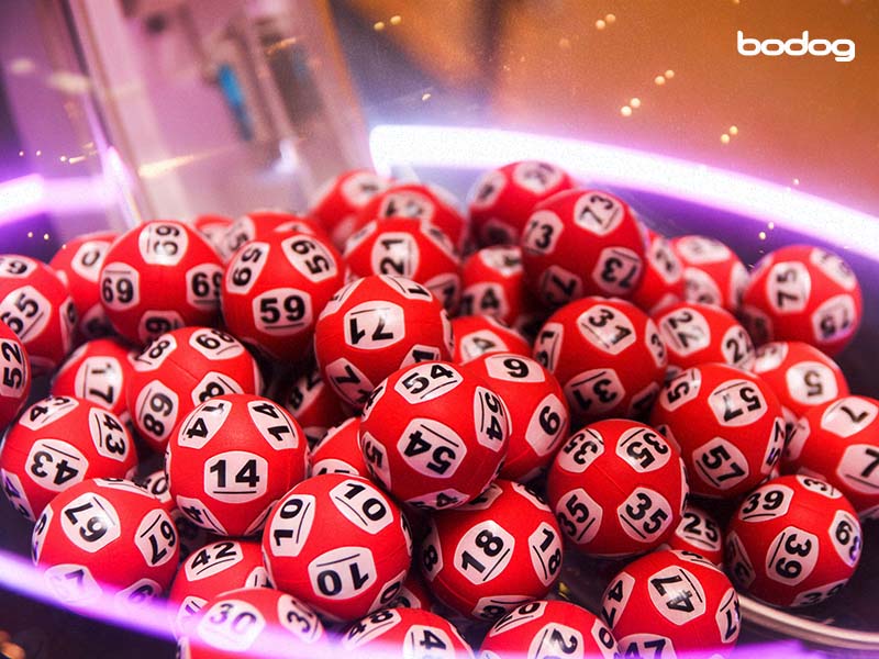 bolas bingo casino