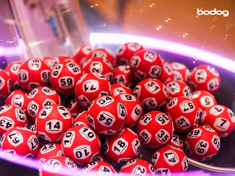 casino juego bingo