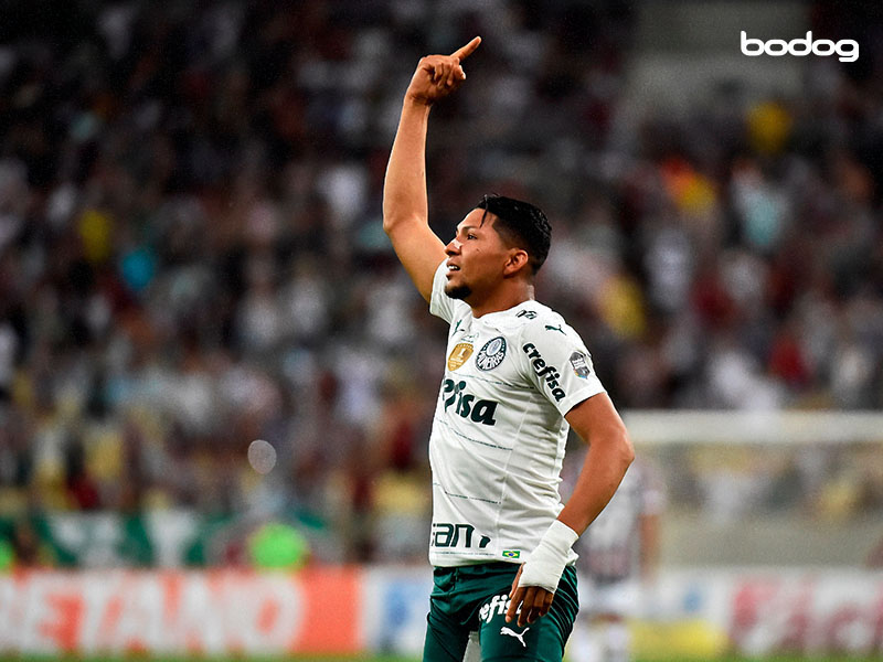 rony palmeiras brasileirao