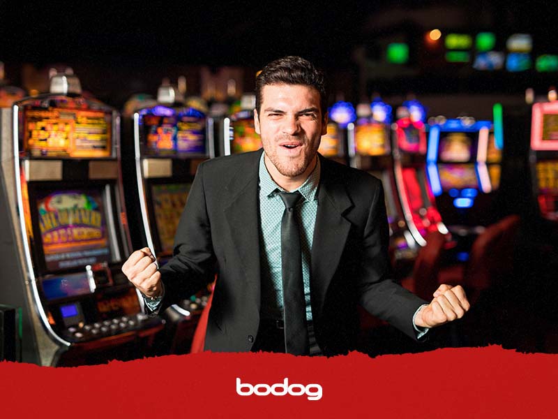 Quem mais deseja ter sucesso com casino 