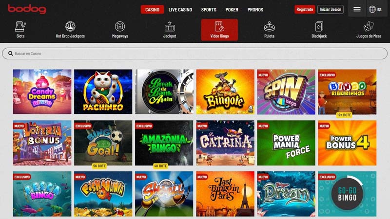 Conheça as vantagens de jogar Video Bingo online