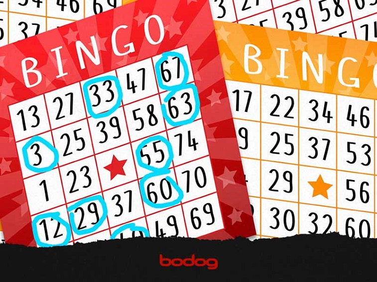 Aprenda a jogar o Bingo Junino online