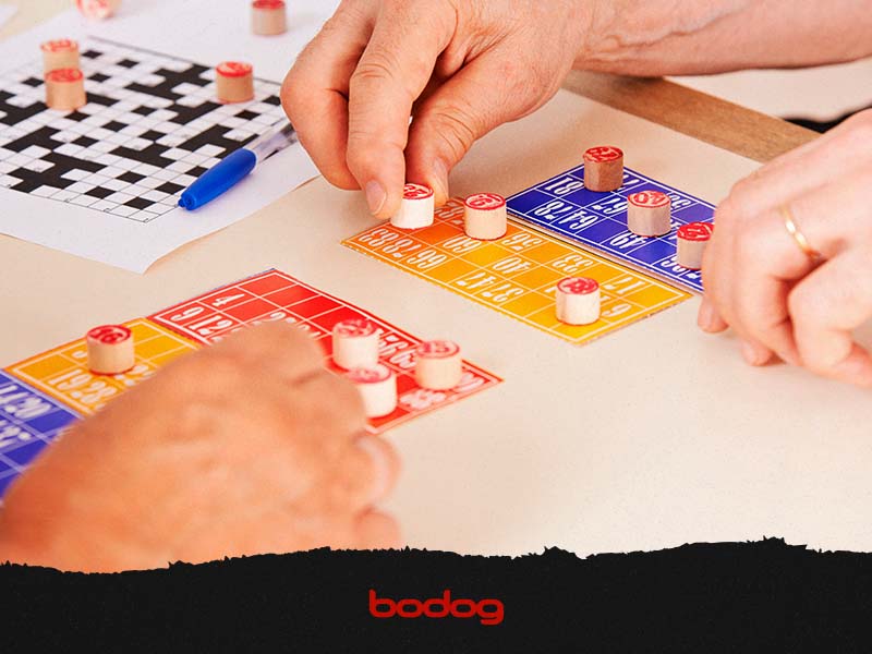 Tipos de jogos de bingo - Bodog