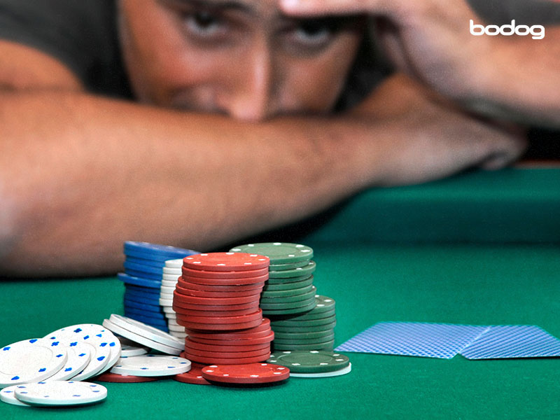 Jogadores de poker ou xadrez, quem é mais inteligente?