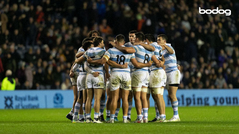 argentina mundial rugby