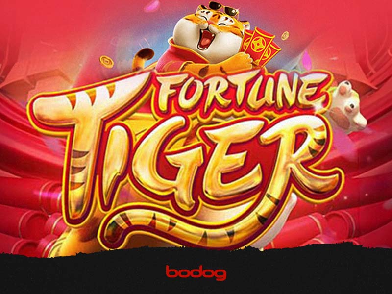 fortune tiger NOVA cadastro