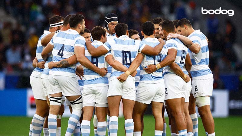 pumas argentina rugby