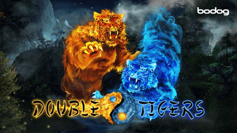 double tiger slot