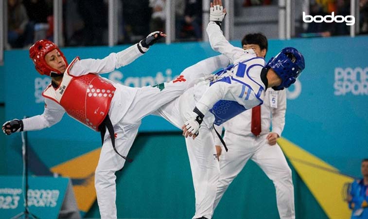 Las diferencias entre el taekwondo olímpico y el profesional