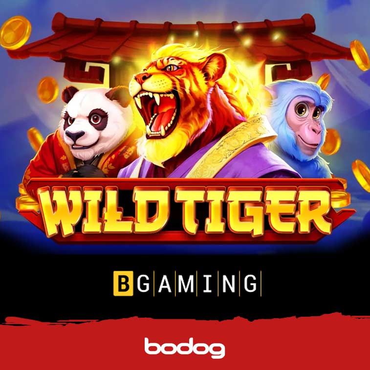 Wild Tiger imagem apresentacao