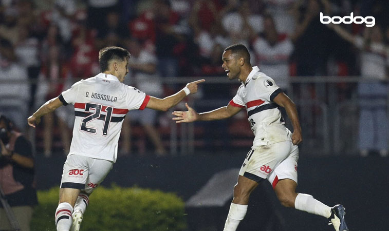 Como o tricolor paulista chega diante da raposa