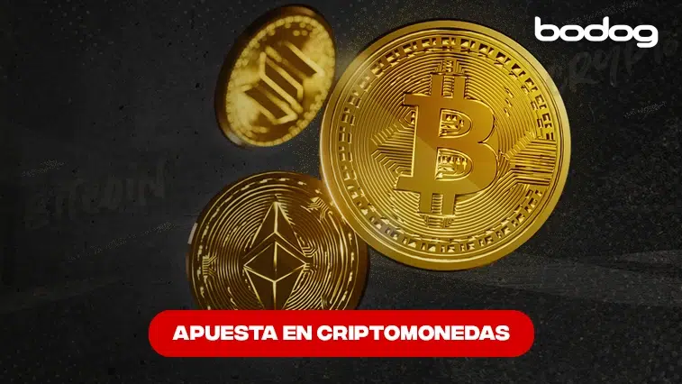 apostar criptomoneadas bodog