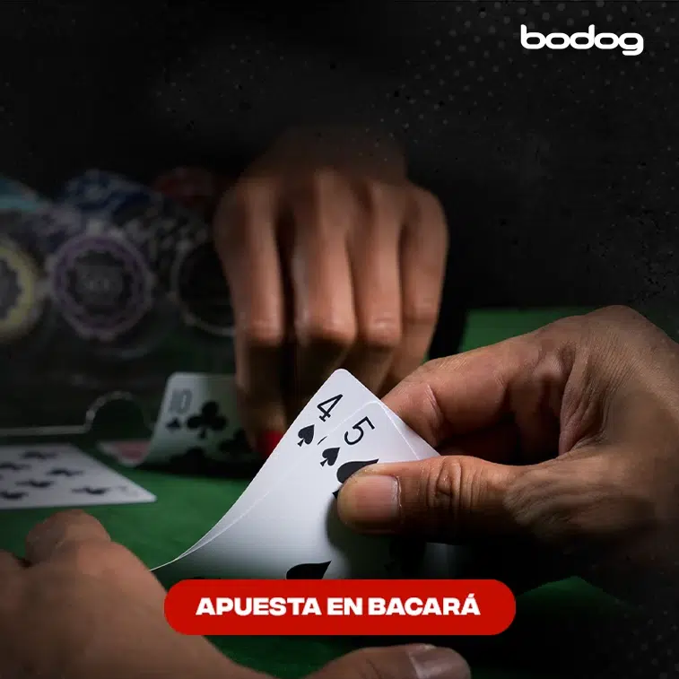 apuestas bacara bodog