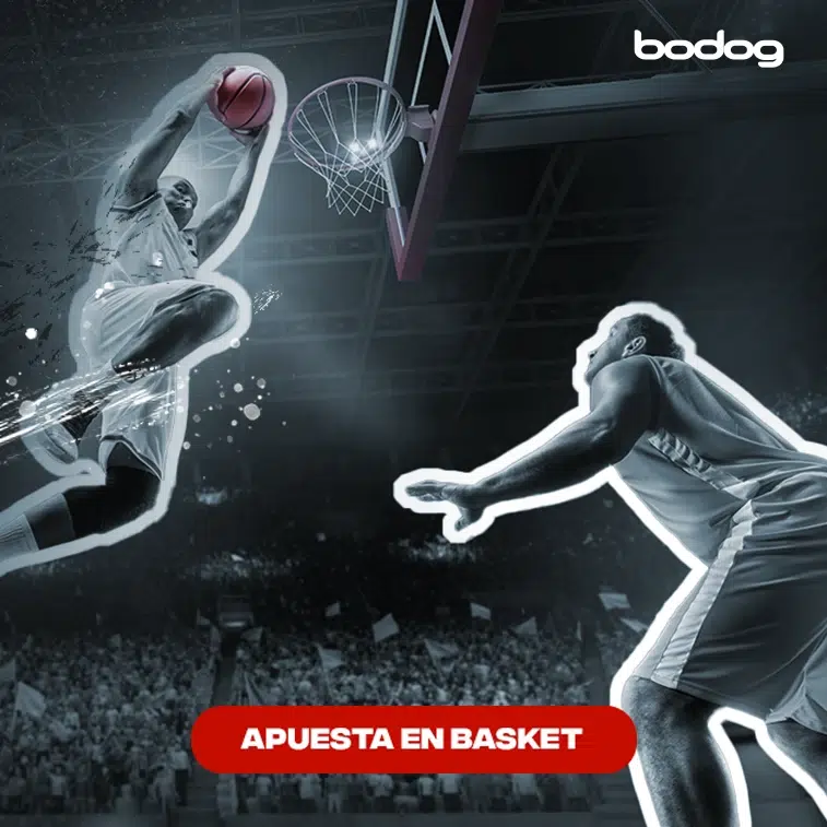 apuestas basketball bodog